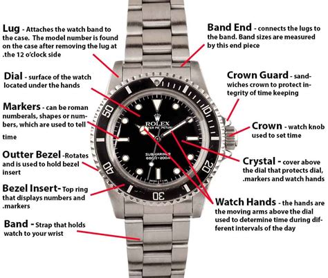 rolex identification.